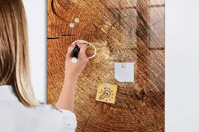 Dry erase magnetic board with a tree trunk cross-section design