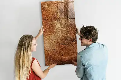 Dry erase magnetic board with a tree trunk cross-section design