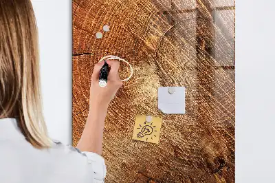 Dry erase magnetic board with a tree trunk cross-section design