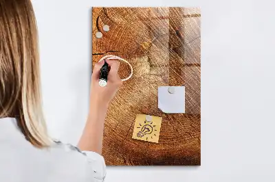 Dry erase magnetic board with a tree trunk cross-section design