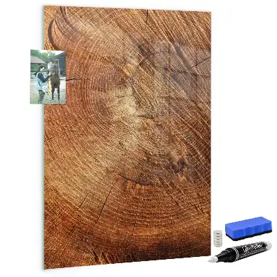 Dry erase magnetic board with a tree trunk cross-section design