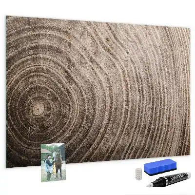 Magnetic erase board tree trunk design