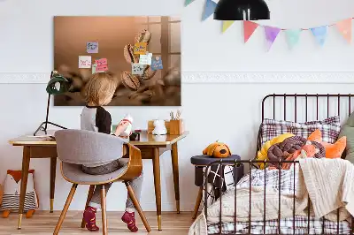 Dry erase board magnetic