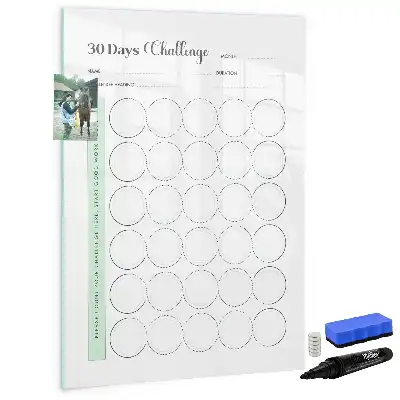 Magnetic erase board challenge planner