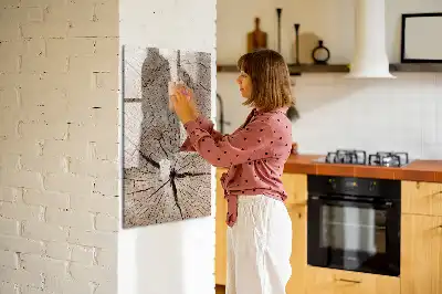 Magnetic dry erase board with a tree trunk cross-section design
