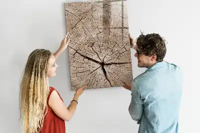 Magnetic dry erase board with a tree trunk cross-section design