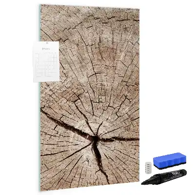 Magnetic dry erase board with a tree trunk cross-section design