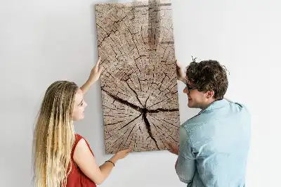 Magnetic dry erase board with a tree trunk cross-section design