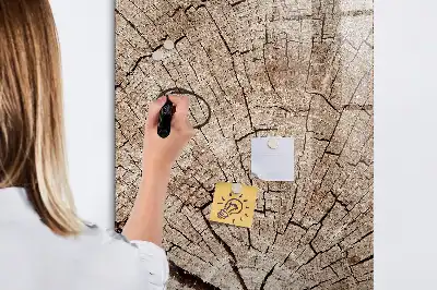 Magnetic dry erase board with a tree trunk cross-section design