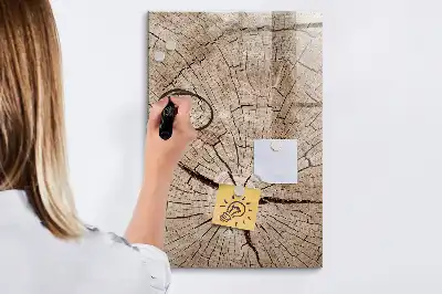 Magnetic dry erase board with a tree trunk cross-section design