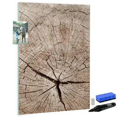 Magnetic dry erase board with a tree trunk cross-section design