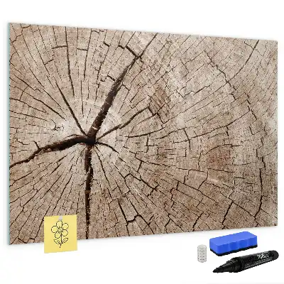 Magnetic glass dry erase board old tree trunk pattern