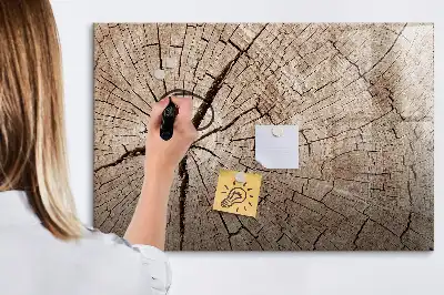 Magnetic glass dry erase board old tree trunk pattern