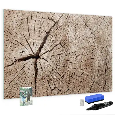 Magnetic glass dry erase board old tree trunk pattern
