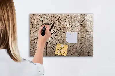 Magnetic glass dry erase board old tree trunk pattern