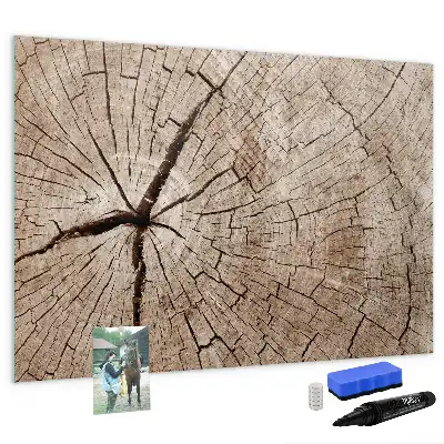 Magnetic glass dry erase board old tree trunk pattern