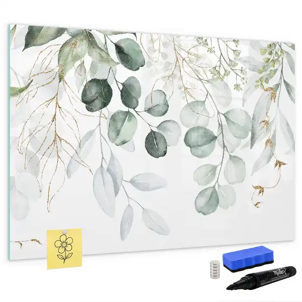 Magnetic glass dry erase board climbing plants