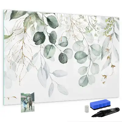 Magnetic glass dry erase board climbing plants
