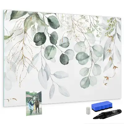 Magnetic glass dry erase board climbing plants