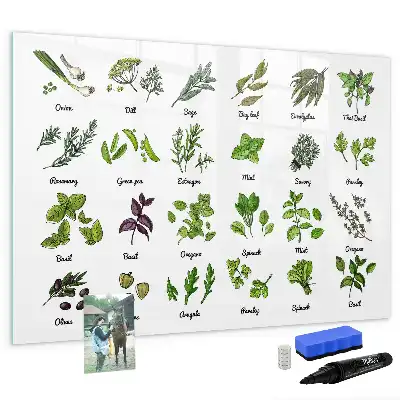 Magnetic marker board tree species theme
