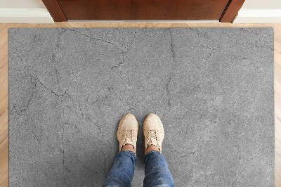 Washable door mat indoor Gray concrete