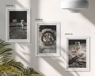 Astronauts landing on the moon wall art 3-piece set