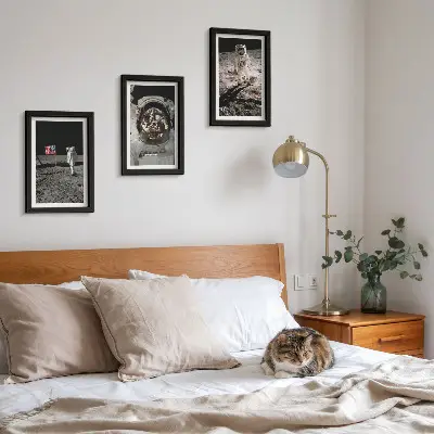Astronauts landing on the moon wall art 3-piece set