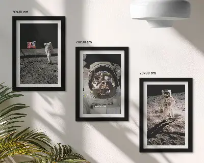 Astronauts landing on the moon wall art 3-piece set