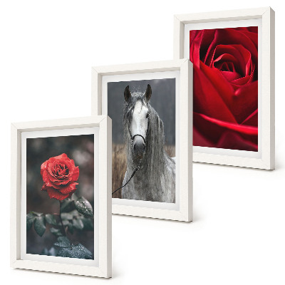 3-piece wall art set Red roses and a horse in a gray setting
