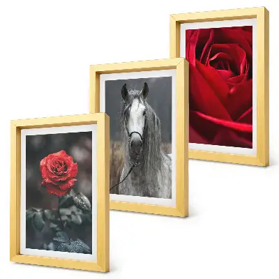 3-piece wall art set featuring red roses and a horse in a gray setting