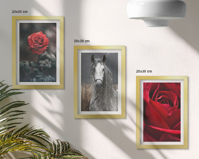 3-piece wall art set Red roses and a horse in a gray setting