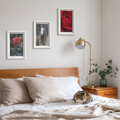 3-piece wall art set Red roses and a horse in a gray setting