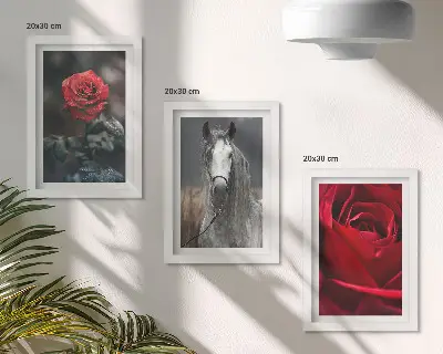 3-piece wall art set featuring red roses and a horse in a gray setting