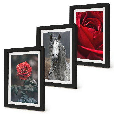 3-piece wall art set Red roses and a horse in a gray setting
