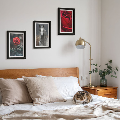 3-piece wall art set Red roses and a horse in a gray setting