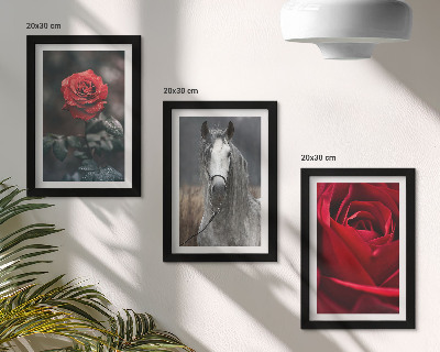 3-piece wall art set Red roses and a horse in a gray setting