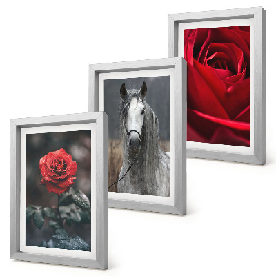 3-piece wall art set Red roses and a horse in a gray setting