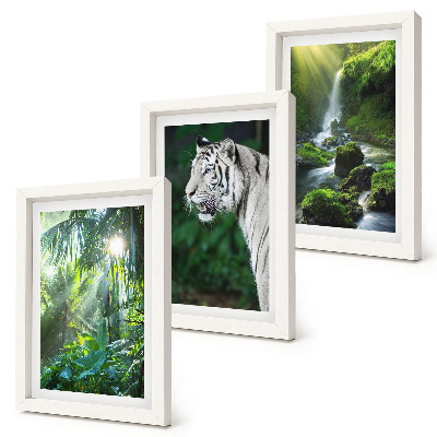 3-piece wall art set Jungle with a white tiger and a wild waterfall