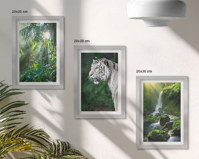 3-piece wall art set Jungle with a white tiger and a wild waterfall