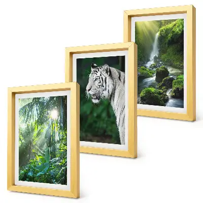 3-piece wall art set featuring a jungle landscape with a white tiger and a waterfall