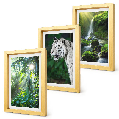 3-piece wall art set Jungle with a white tiger and a wild waterfall