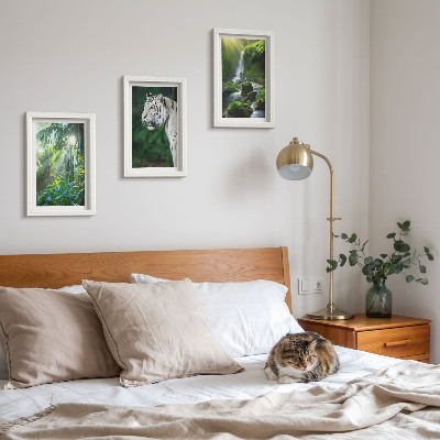 3-piece wall art set Jungle with a white tiger and a wild waterfall