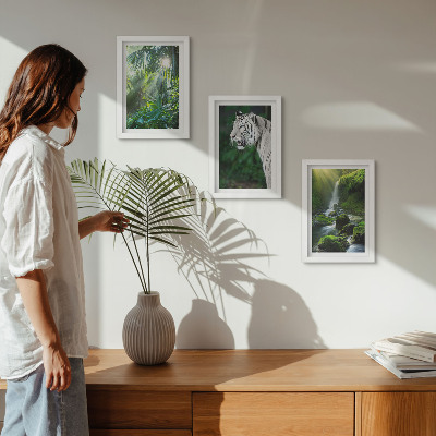 3-piece wall art set Jungle with a white tiger and a wild waterfall