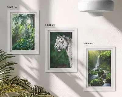 3-piece wall art set featuring a jungle landscape with a white tiger and a waterfall