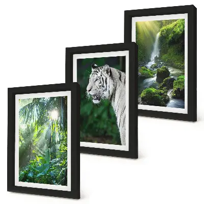 3-piece wall art set featuring a jungle landscape with a white tiger and a waterfall