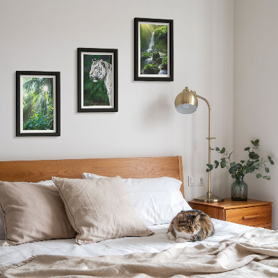 3-piece wall art set Jungle with a white tiger and a wild waterfall