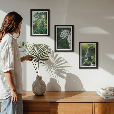 3-piece wall art set Jungle with a white tiger and a wild waterfall