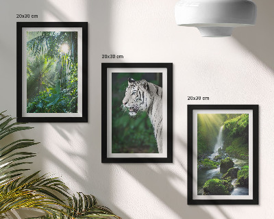 3-piece wall art set Jungle with a white tiger and a wild waterfall