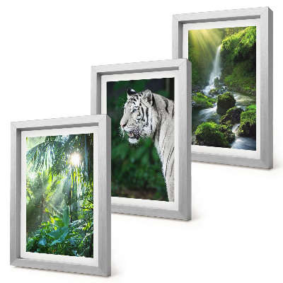 3-piece wall art set Jungle with a white tiger and a wild waterfall
