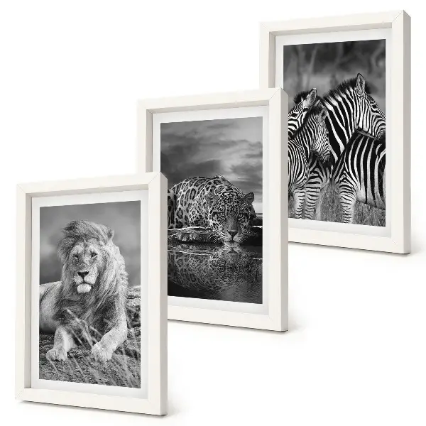 3-piece wall art set wild animals of the savannah featuring a lion, jaguar, and zebra